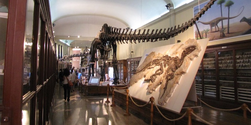 Museum of Paleontology and Geology "G.Capellini"