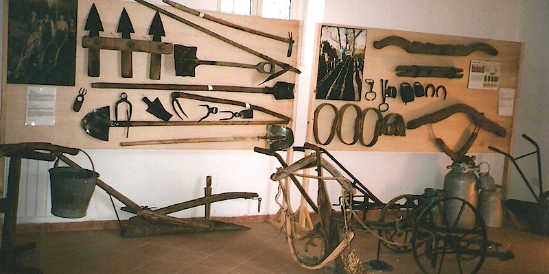 Musée de l'agriculture de laboratoire "Masseria Luce"