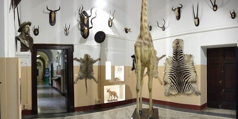 Museo di Storia Naturale - Palazzo Botta