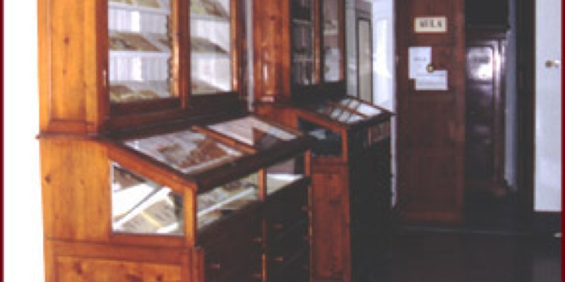 Палеотестологические коллекции