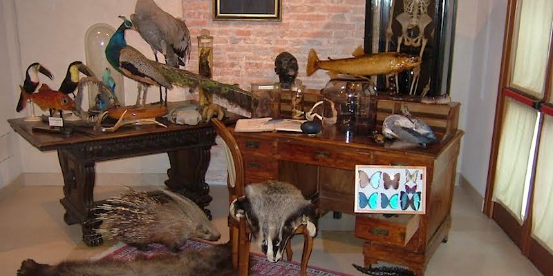 Giuseppe Scarpa Musée zoologique