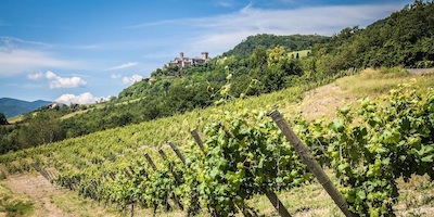 Guide of Piacenza's Hills